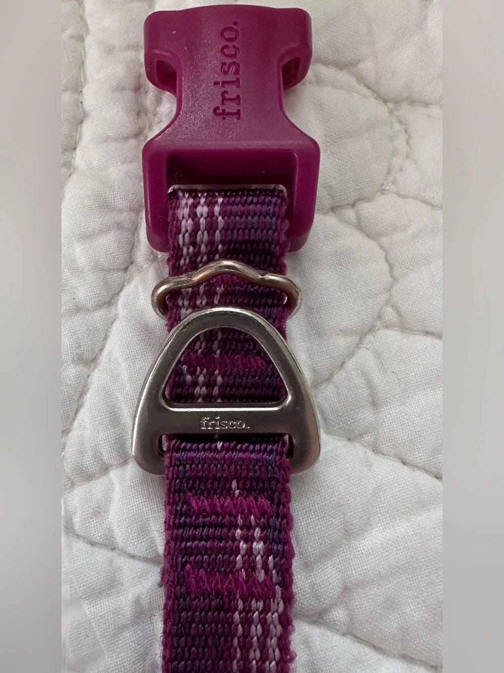 New~Frisco Plum Adjustable Dog Collar